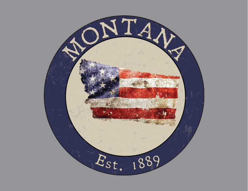 Montana MT American Flag T-Shirt