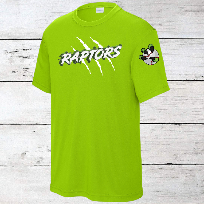 Raptors Baseball DriFit Youth TShirts