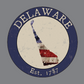 Delaware DE American Flag T-Shirt