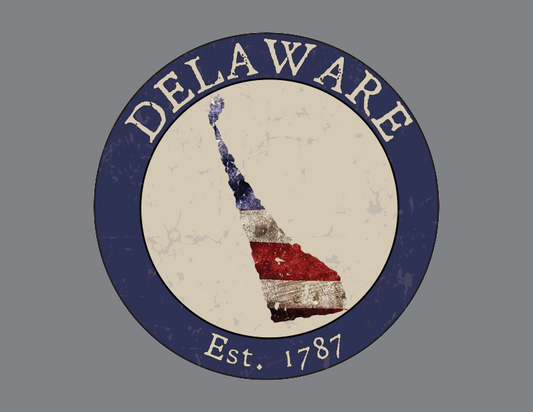 Delaware DE American Flag T-Shirt