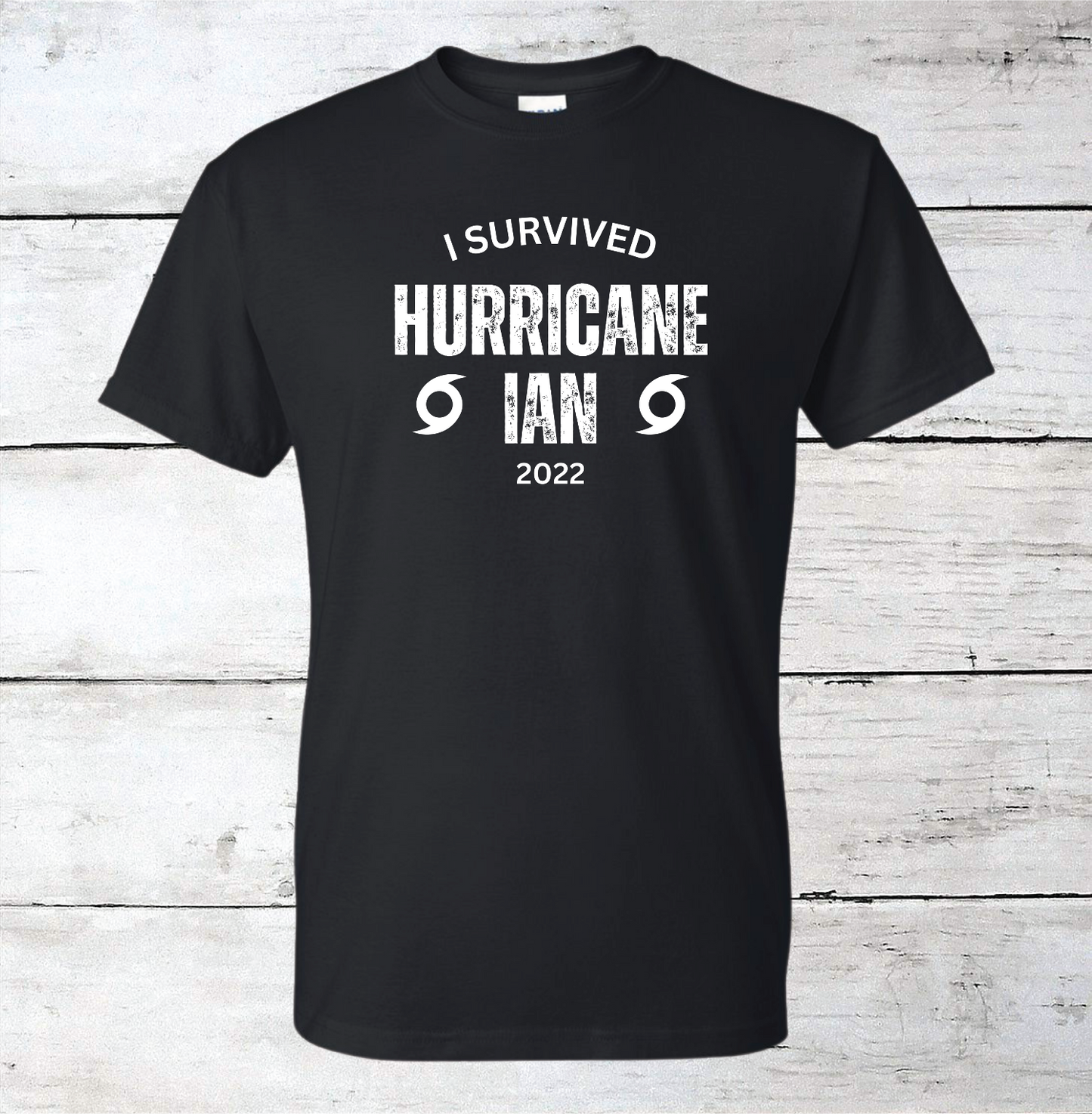 I Survived Hurricane Ian Men's/Unisex T-Shirts