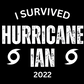 I Survived Hurricane Ian Men's/Unisex T-Shirts