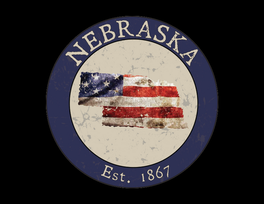 Nebraska NE American Flag T-Shirt