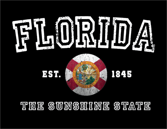 Florida Sunshine State T-Shirt