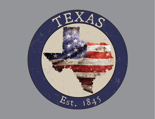 Texas TX American Flag T-Shirt