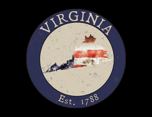 Virginia VA American Flag T-Shirt