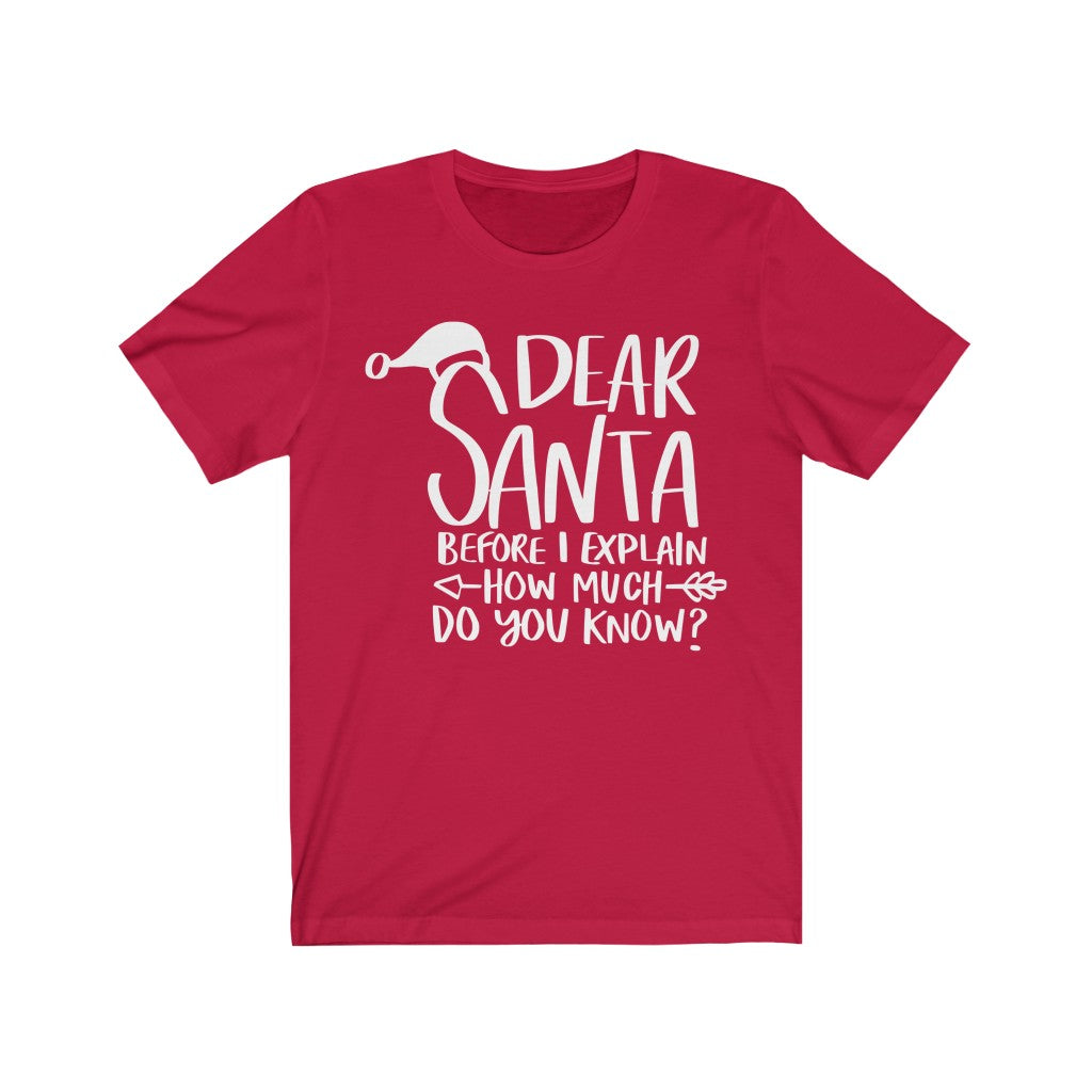 Dear Santa Christmas T-Shirt