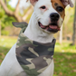 Camouflage Pet Bandana