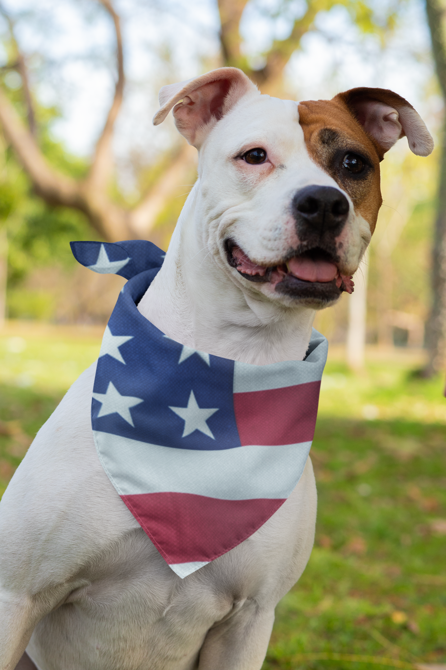 American flag puppy deals bandana