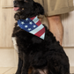 American Flag Collar Pet Bandana (LG & XL)